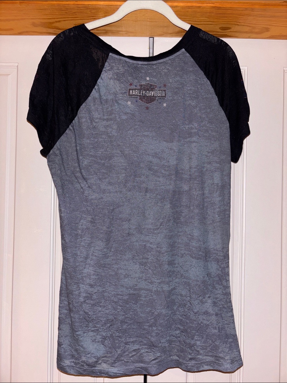 Harley-Davidson Gray and Black Short Sleeve Graphic Tee - Picture 6 of 8
